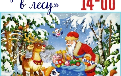 Новогодние приключения в лесу