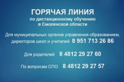 Работа образовательных учреждений на период нерабочих дней