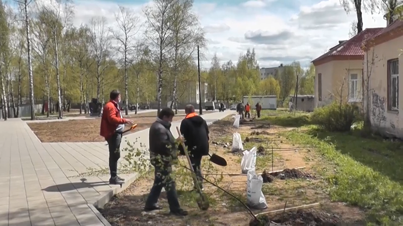 Сад памяти – сад жизни. Вязьма. Май 2020