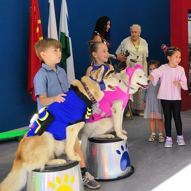 Выступление мохнатых цирковых артистов под руководством Елены Верлатой в КВЦ