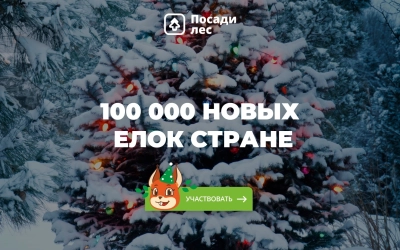 Накануне новогодних праздников проект «Посади Лес» Движения ЭКА запускает традиционную акцию «100 тысяч новых ёлок стране»