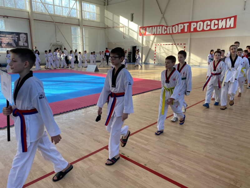 Сборная команда Вяземского района на первенстве Смоленской области по тхэквондо