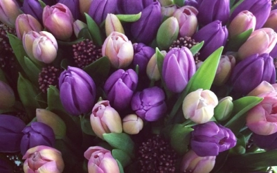 Праздничная программа в Литературном салоне Вязьмы