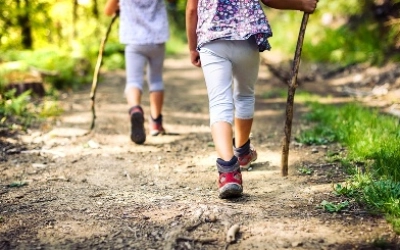 Правила безопасности: ребенок в лесу