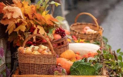 Внимание: опрос!