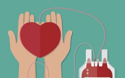 23 ноября пройдет акция по безвозмездной сдаче крови