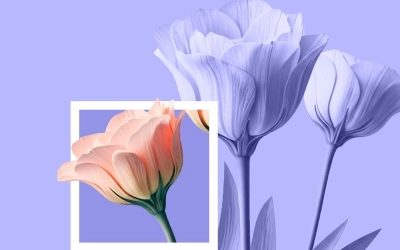 Сердечно поздравляем всех девочек, девушек, женщин с Международным женским днем — 8 марта!