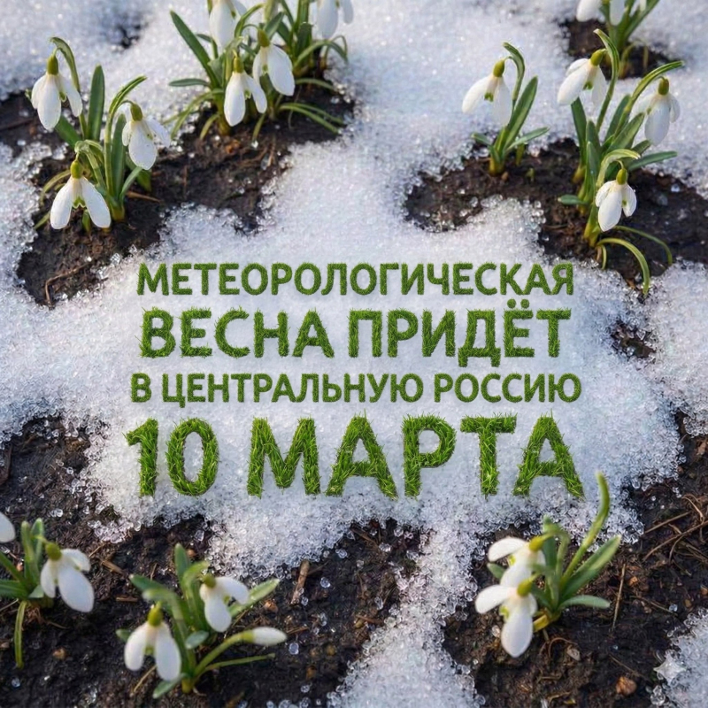 Начало метеорологической весны в центральной части России ожидается с 10 марта, снежный покров может уменьшится на 15 см к следующим выходным.