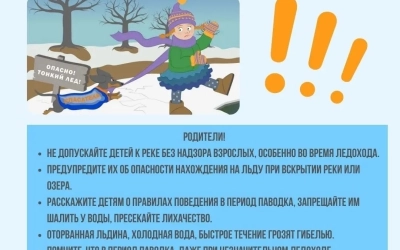 Осторожно, тонкий лед! Памятка для детей и родителей.