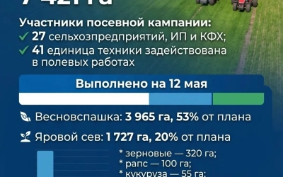 Что происходит на полях Вяземского округа?