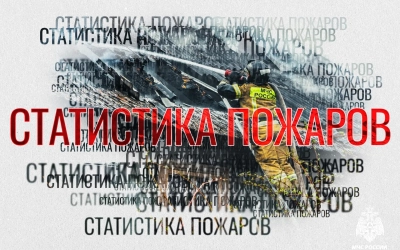 С начала года на территории Вяземского округа зарегистрировано 85 пожаров.
