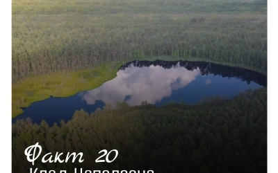 Рубрика «Открой Вязьму заново: 30 фактов» — к 787‑летию города!