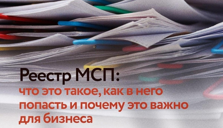 Реестр МСП: что это такое, как в него попасть и почему это важно для бизнеса