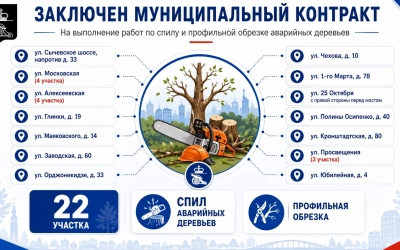 Заключён муниципальный контракт на спил и обрезку аварийных деревьев в Вязьме