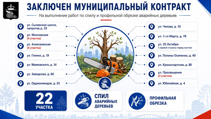 Заключён муниципальный контракт на спил и обрезку аварийных деревьев в Вязьме