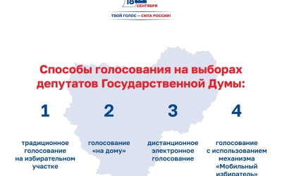 Выборы‑2026: голосуем удобно — все способы для жителей региона