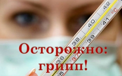 Что такое грипп и какова его опасность?