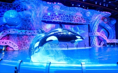 Поездка в столичный Москвариум – это всегда праздник!