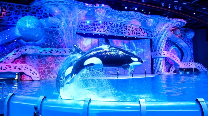 Поездка в столичный Москвариум – это всегда праздник!