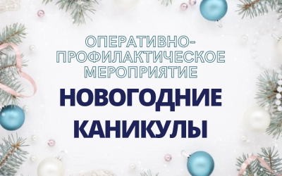 Оперативно-профилактическое мероприятие 