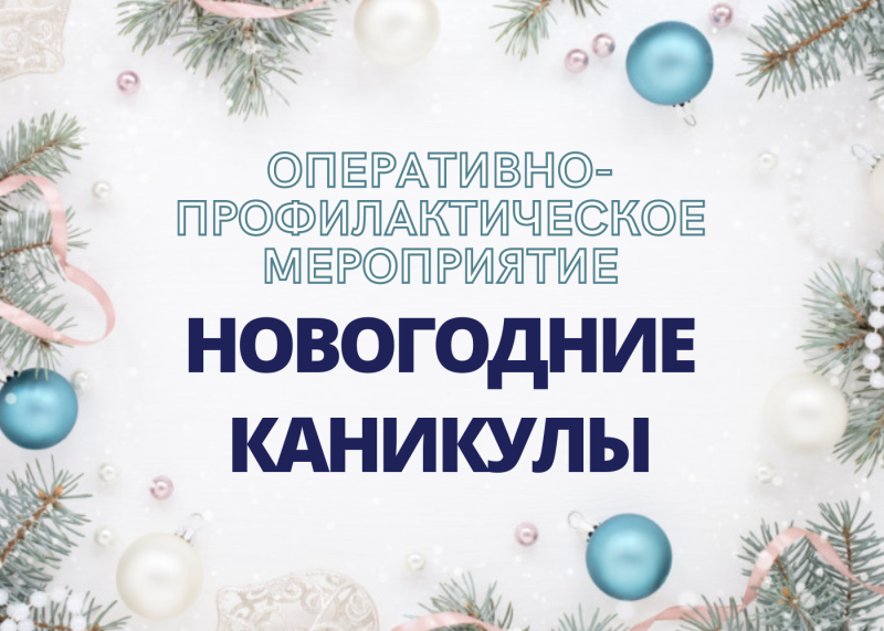 Оперативно-профилактическое мероприятие 