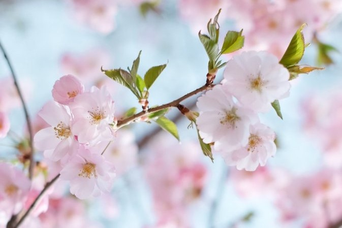 Международный женский день. Программа мероприятий