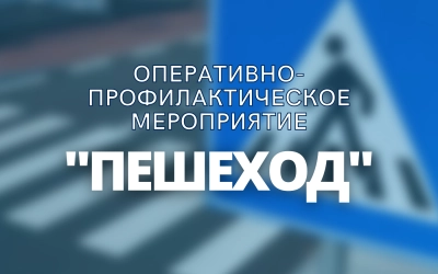 Оперативно-профилактическое мероприятие 