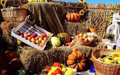 Ежегодная сельскохозяйственная ярмарка 