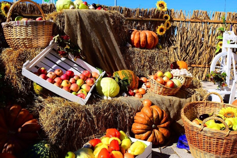 Ежегодная сельскохозяйственная ярмарка 