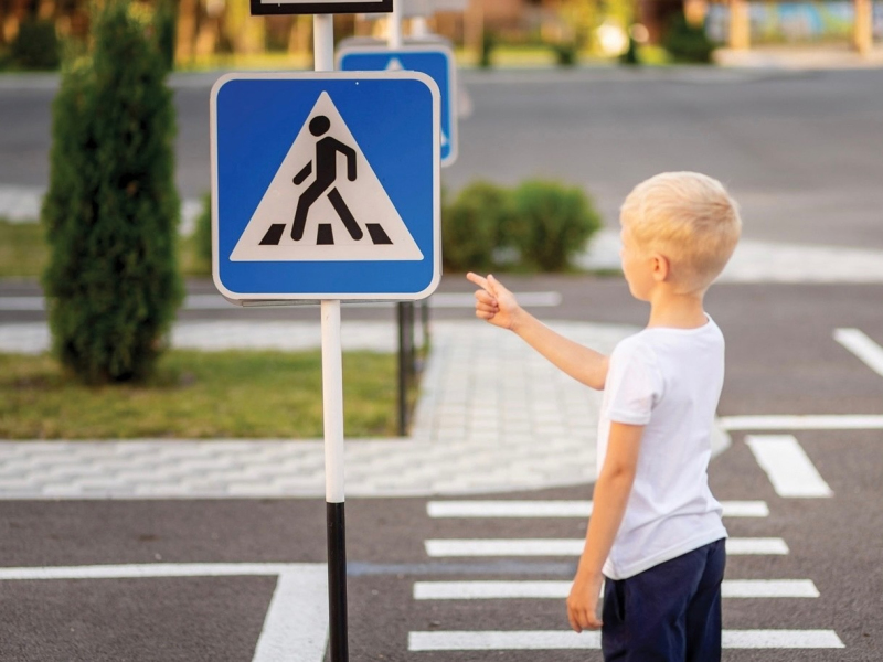 Безопасность детей на дорогах в период летних каникул