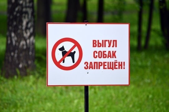 Информация для владельцев собак